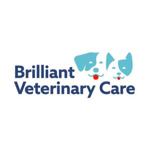 Hi I'm Brilliant Veterinary Care